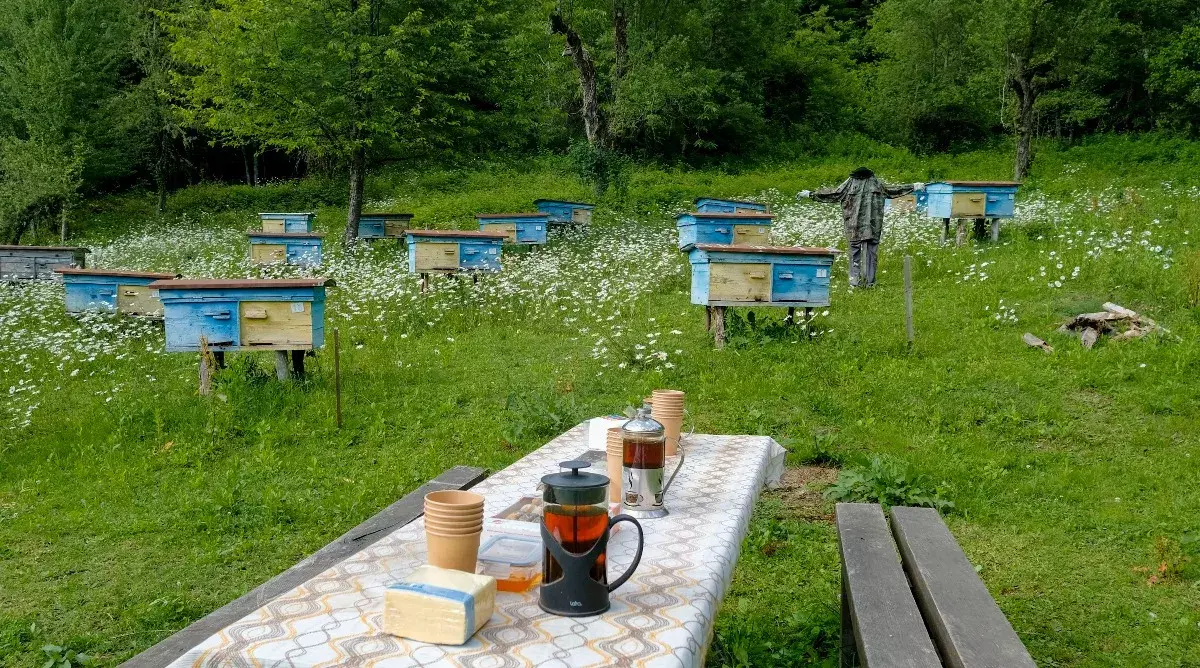 Горный трип — изображение 15